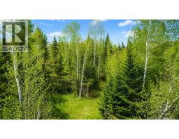 Lot Newburg Road, woodstock, New Brunswick