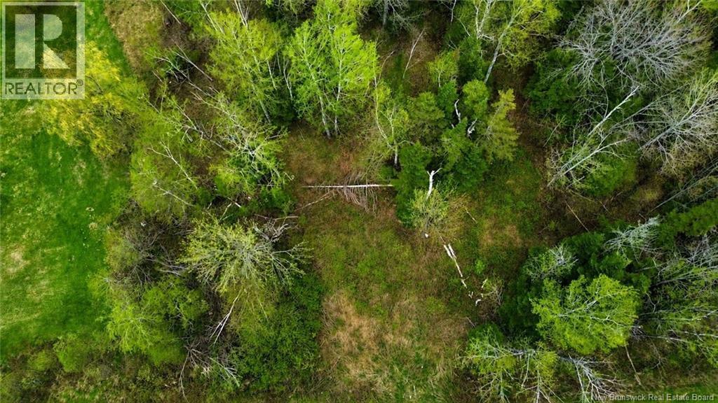 Lot Newburg Road, Woodstock, New Brunswick  E7N 1N5 - Photo 10 - NB139400