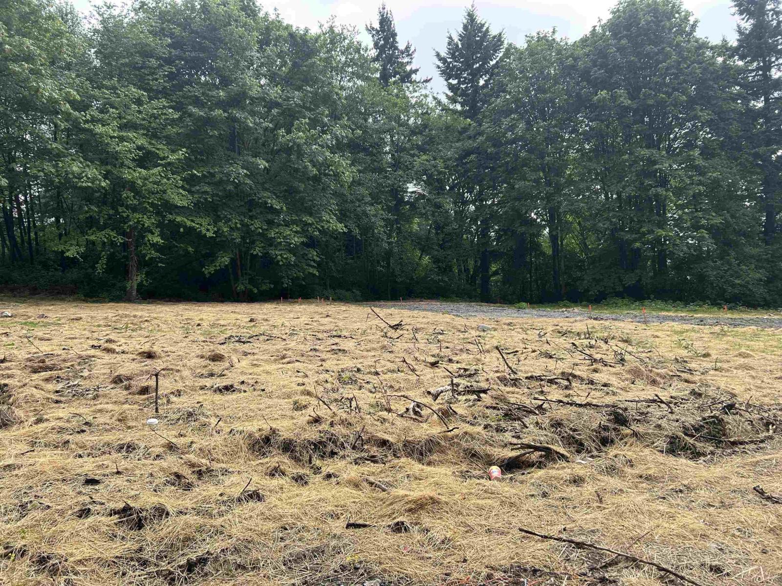 Lt.2 11083 River Road, Delta, British Columbia  V4C 2S3 - Photo 3 - R3121686