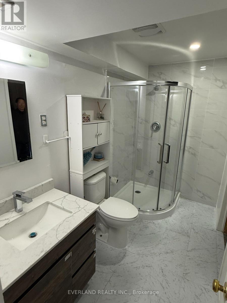 Basement - 156 Bristol Road, Newmarket, Ontario  L3Y 7W8 - Photo 11 - N13140766