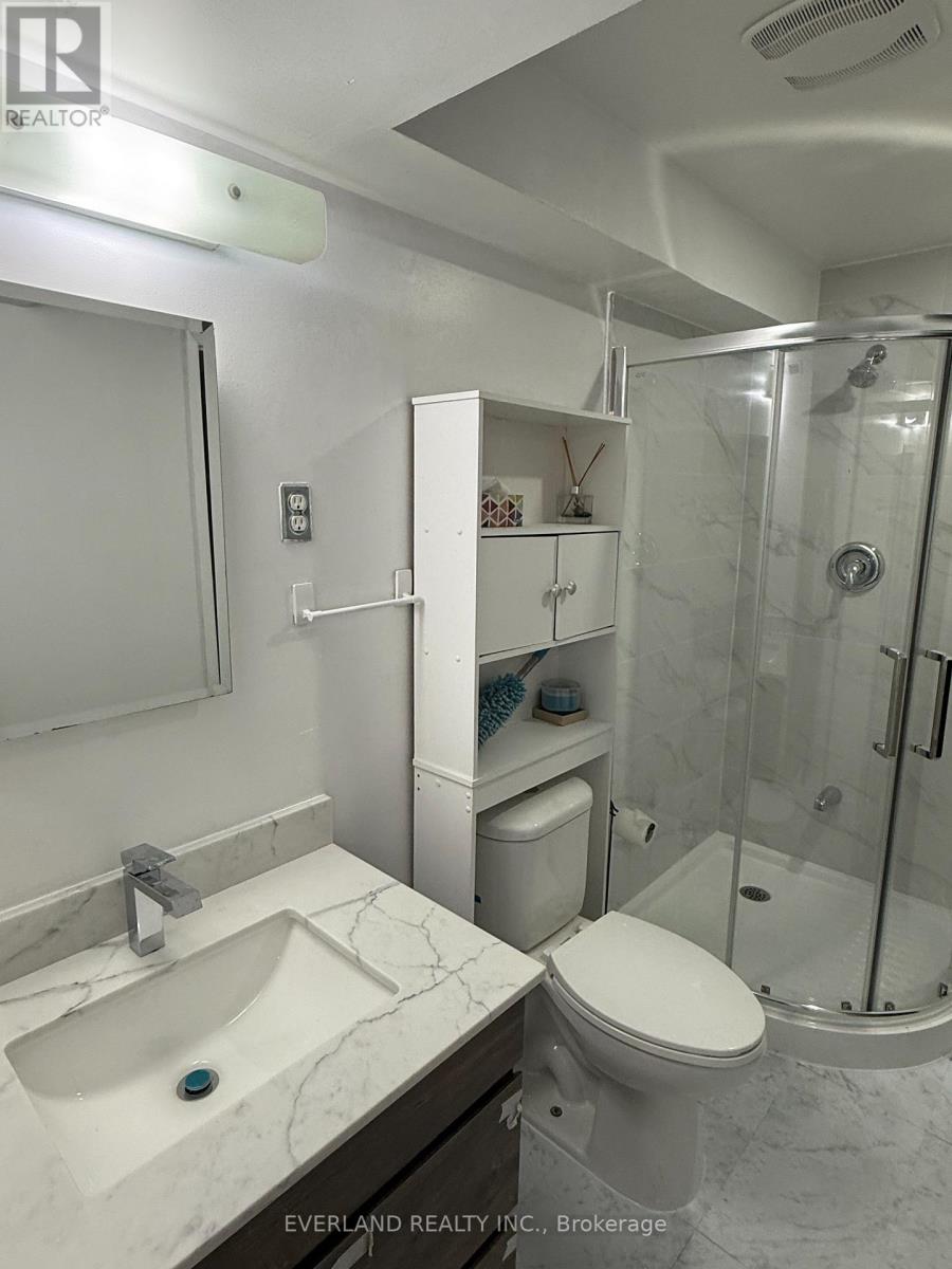 Basement - 156 Bristol Road, Newmarket, Ontario  L3Y 7W8 - Photo 12 - N13140766