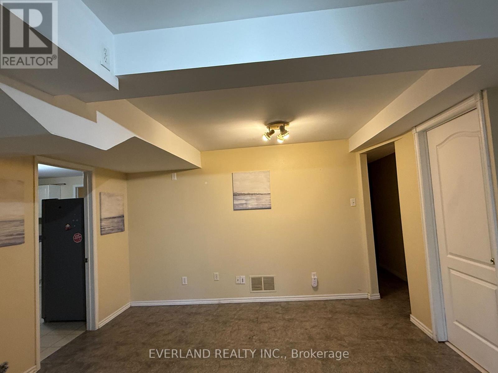 Basement - 156 Bristol Road, Newmarket, Ontario  L3Y 7W8 - Photo 3 - N13140766