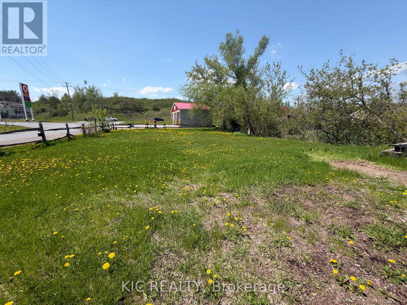 16 Cedar Street, Asphodel-Norwood, Ontario  K0L 2V0 - Photo 3 - X13141042