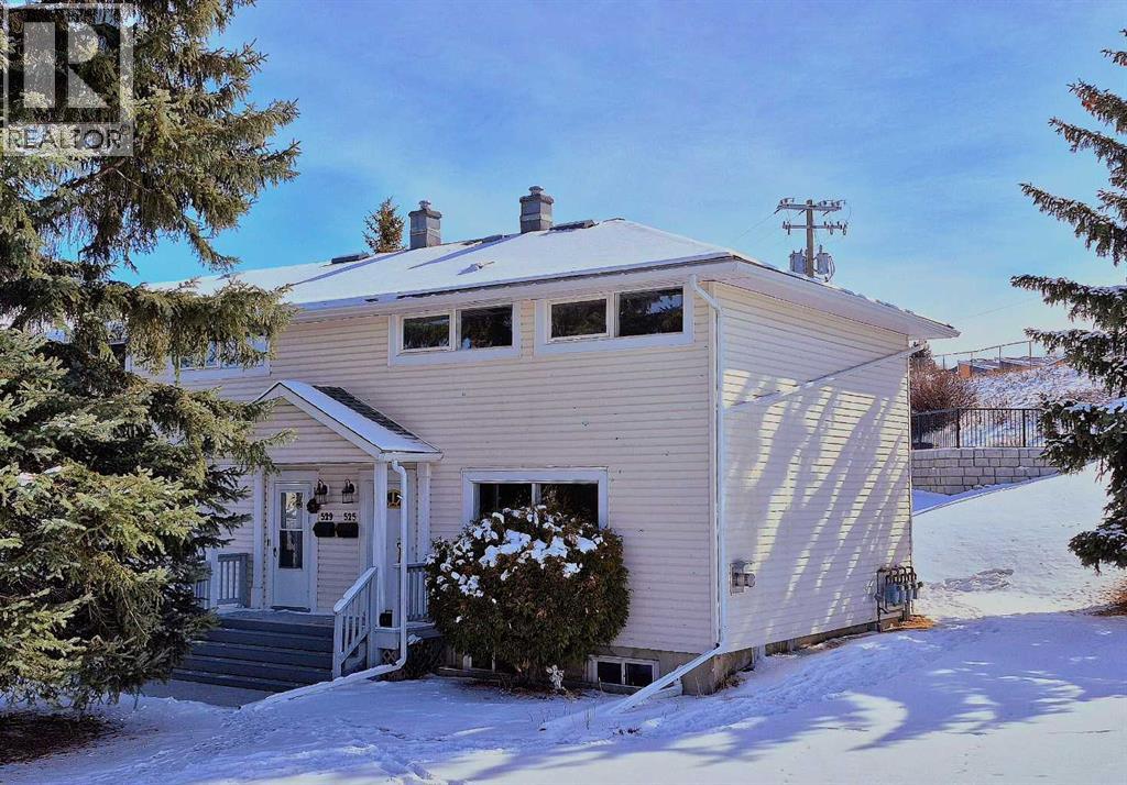 525 32 Avenue NE, Calgary, Alberta  T2E 2H3 - Photo 3 - A2293544