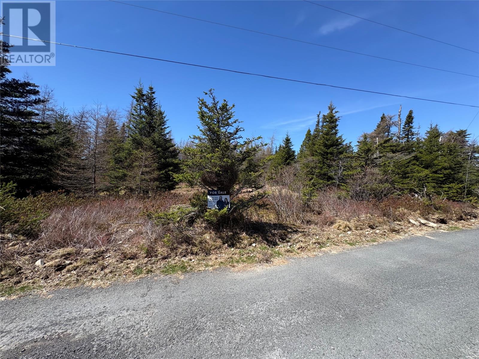 0 Old Mans Pond, Makinsons, Newfoundland & Labrador  A0A 1W0 - Photo 5 - 1297622