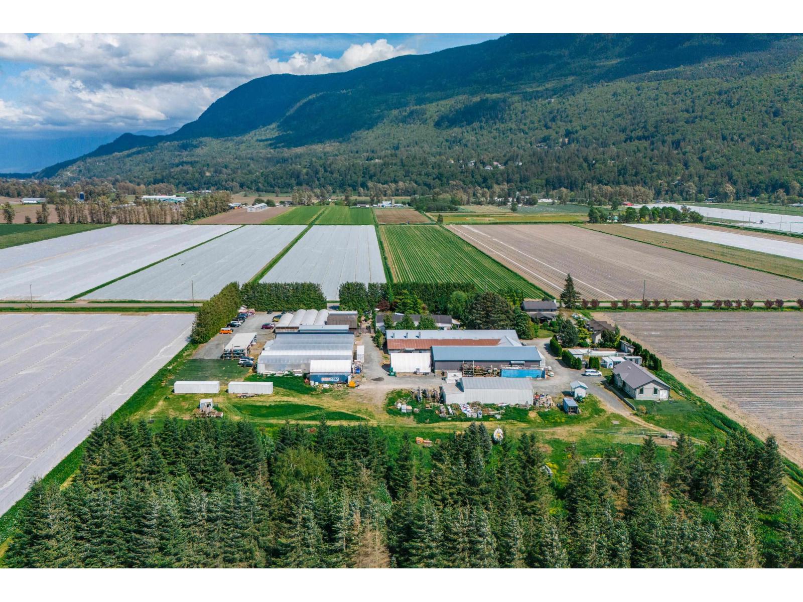 3387 Tolmie Road, Abbotsford, British Columbia  V3G 2T9 - Photo 11 - R3123957