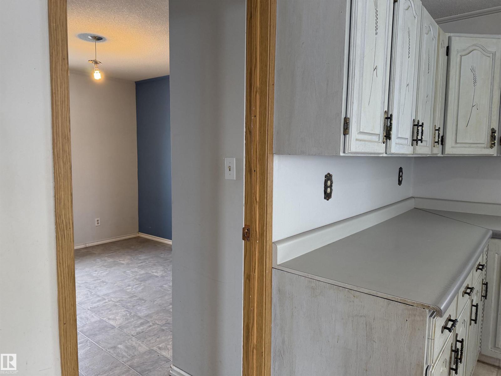 4847 50 Av, Sangudo, Alberta  T0E 2A0 - Photo 31 - E4479267