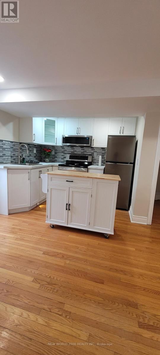Basement - 516 Sandford Street, Newmarket, Ontario L3Y 5E3 - Photo 2 - N13141190