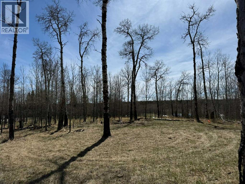 3, 5228 Highway 579, Rural Mountain View County, Alberta  T0M 2E0 - Photo 16 - A2282234