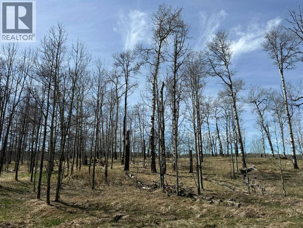 3, 5228 Highway 579, Rural Mountain View County, Alberta  T0M 2E0 - Photo 19 - A2282234