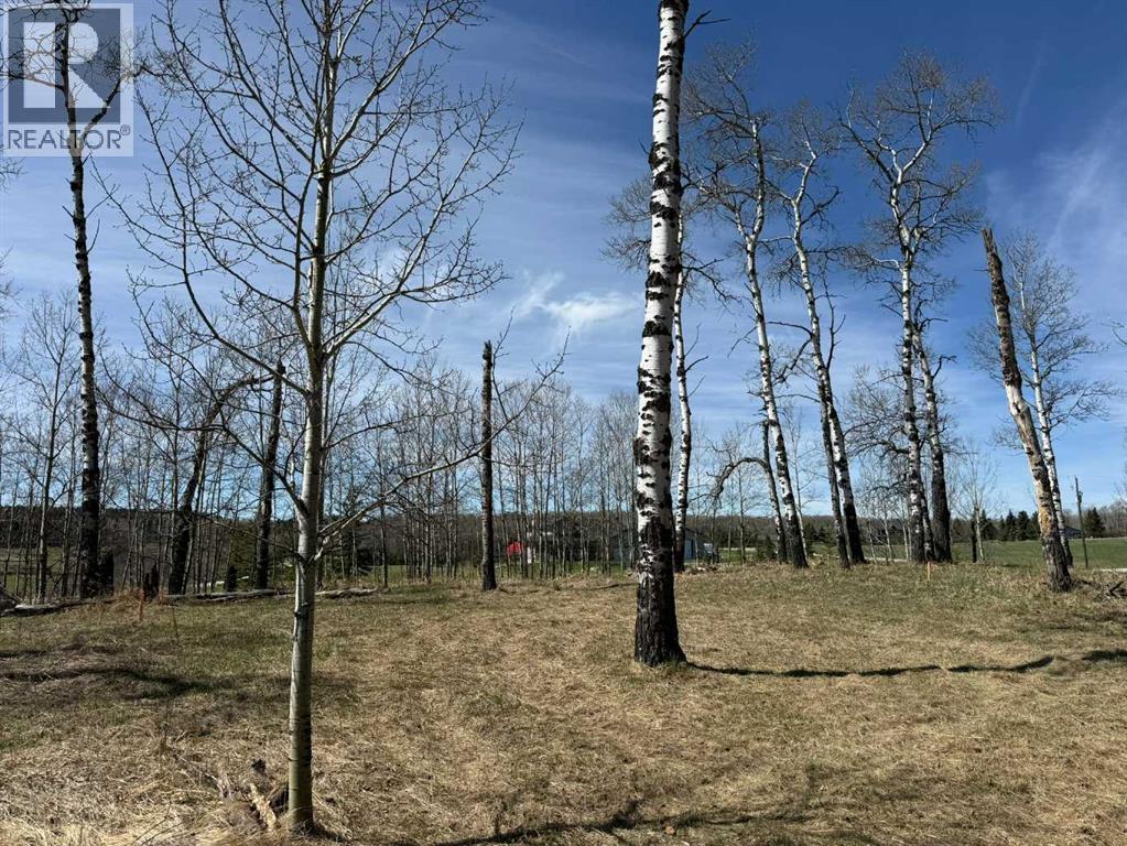 3, 5228 Highway 579, Rural Mountain View County, Alberta  T0M 2E0 - Photo 14 - A2282234
