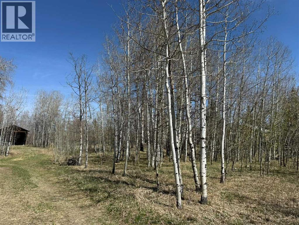 3, 5228 Highway 579, Rural Mountain View County, Alberta  T0M 2E0 - Photo 12 - A2282234