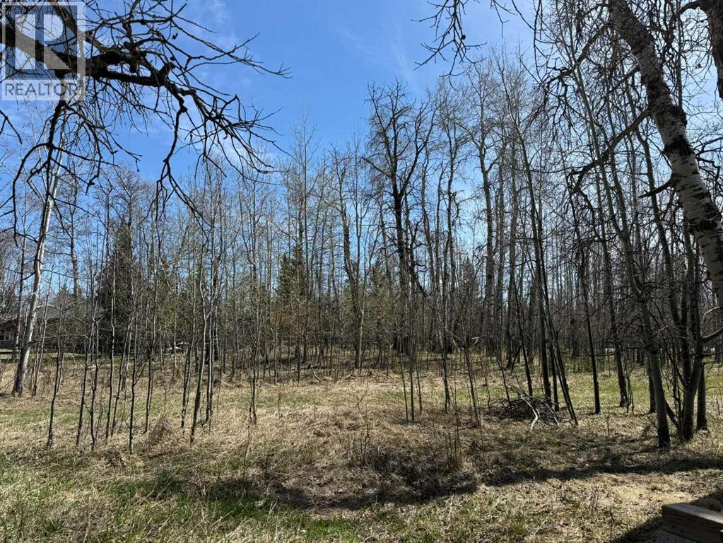 3, 5228 Highway 579, Rural Mountain View County, Alberta  T0M 2E0 - Photo 21 - A2282234