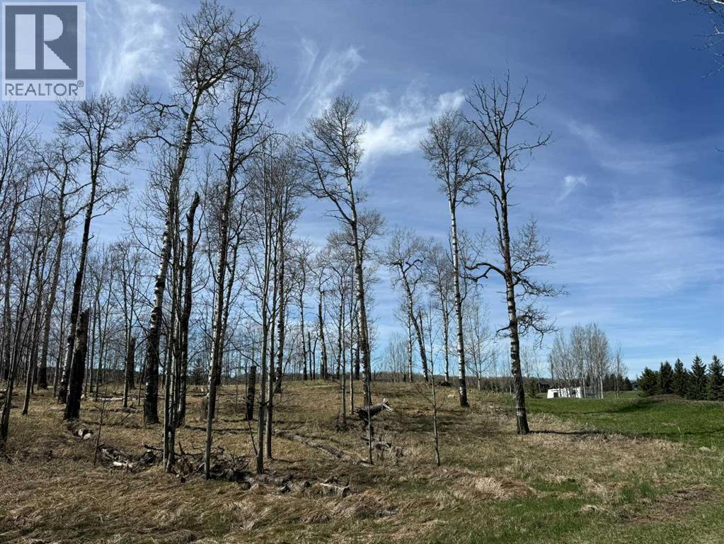 3, 5228 Highway 579, Rural Mountain View County, Alberta  T0M 2E0 - Photo 20 - A2282234
