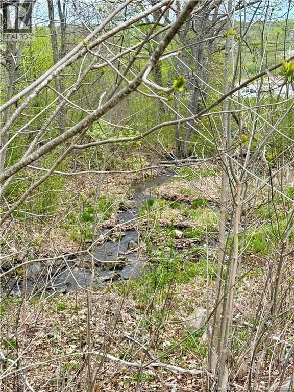 618 Rte 165, Riceville, New Brunswick  E7N 2Z1 - Photo 8 - NB135232
