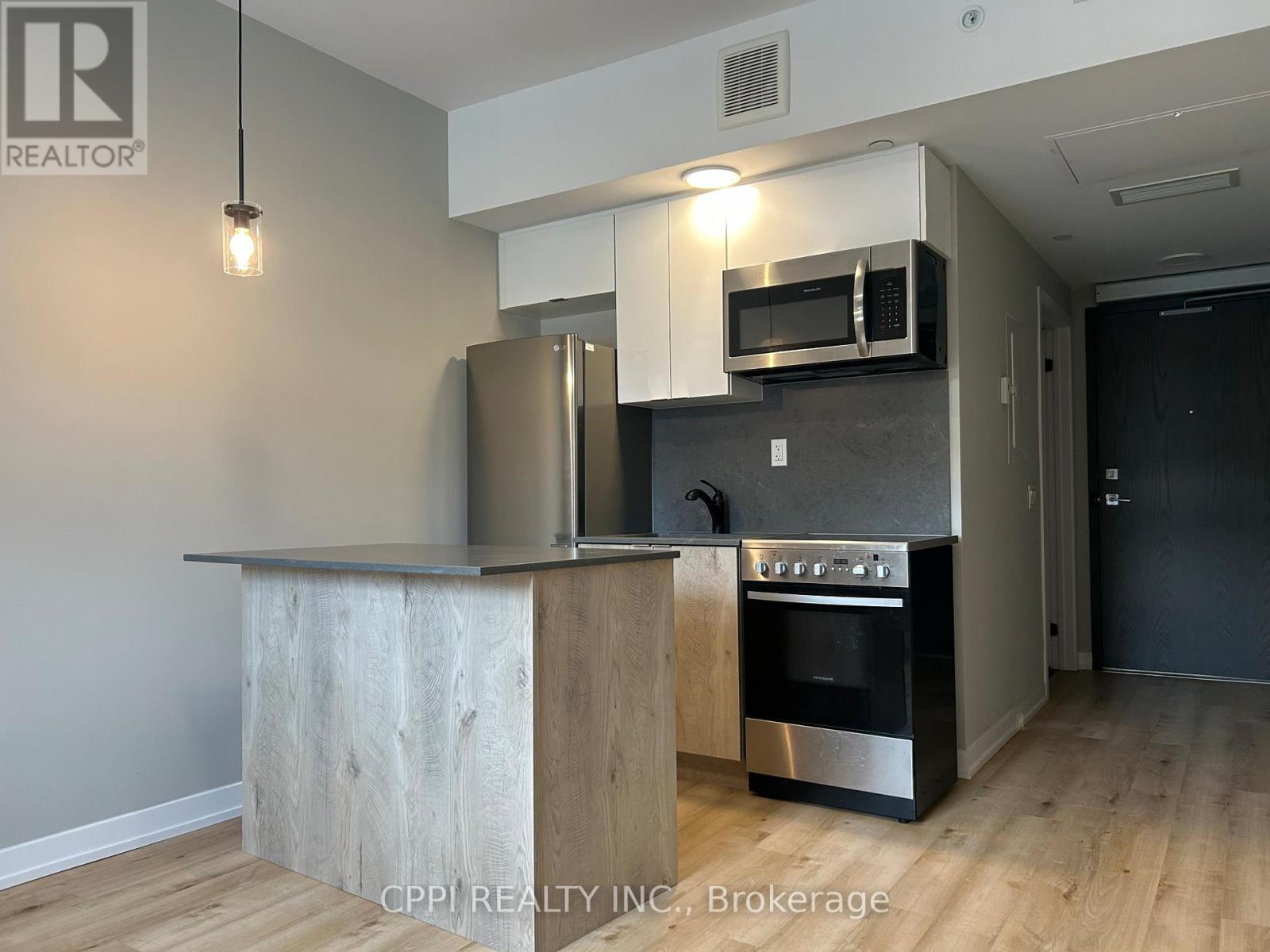 202 - 70 King Street E, Oshawa, Ontario  L1H 0A2 - Photo 3 - E13141236