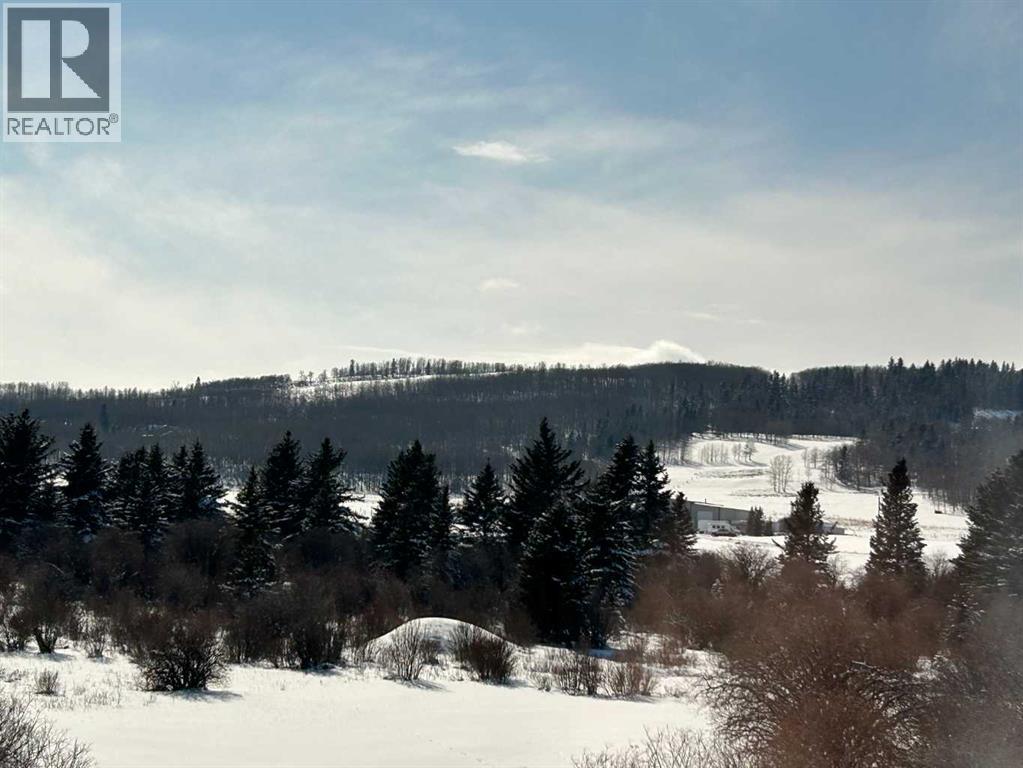 240 Street 210 Avenue, Rural Foothills County, Alberta  T0L 1W4 - Photo 6 - A2289959