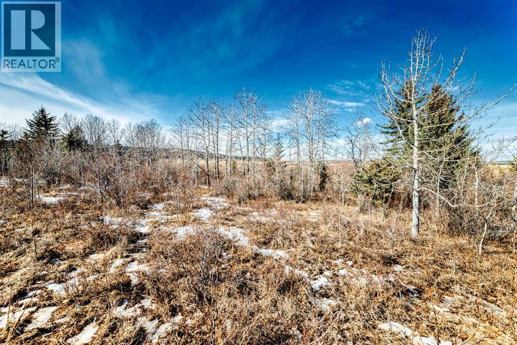 240 Street 210 Avenue, Rural Foothills County, Alberta  T0L 1W4 - Photo 10 - A2289959