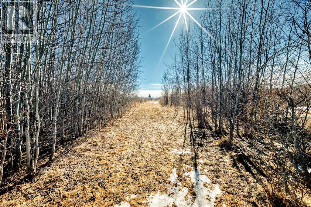 240 Street 210 Avenue, Rural Foothills County, Alberta  T0L 1W4 - Photo 7 - A2289959
