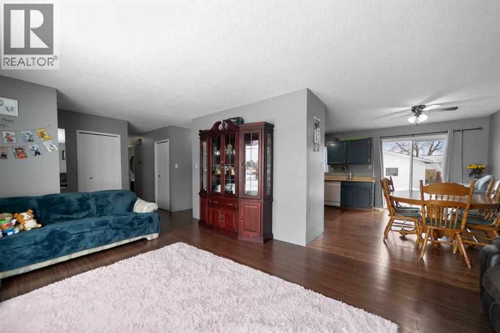 4723 52 Street, Lougheed, Alberta  T0B 2V0 - Photo 7 - A2283208