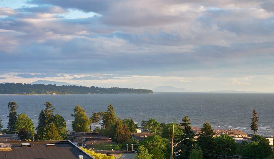 1040 Lee Street, White Rock, British Columbia  V4B 4P1 - Photo 25 - R3112696