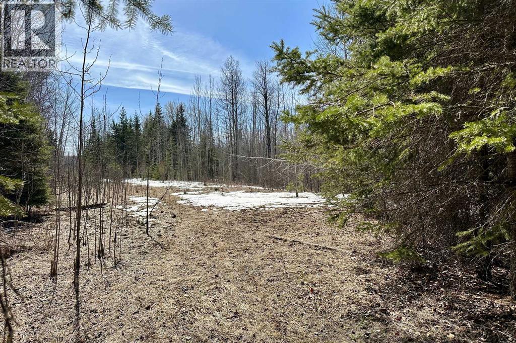 NW-18-62-6-5, Rural Woodlands County, Alberta  T0G 1A0 - Photo 14 - A2312141