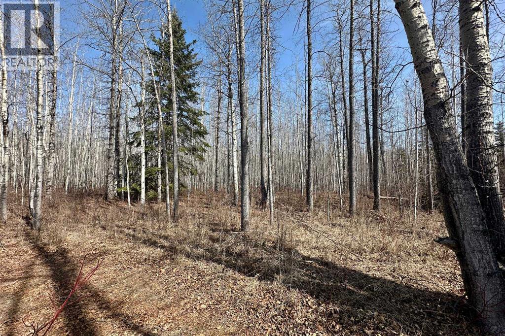 NW-18-62-6-5, Rural Woodlands County, Alberta  T0G 1A0 - Photo 12 - A2312141