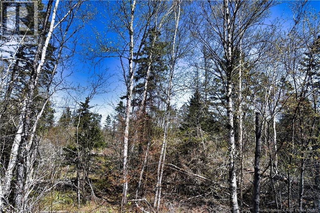 86-39 & 86-40 Mitchell Court, Welshpool, New Brunswick  E5E 1H6 - Photo 16 - NB137024