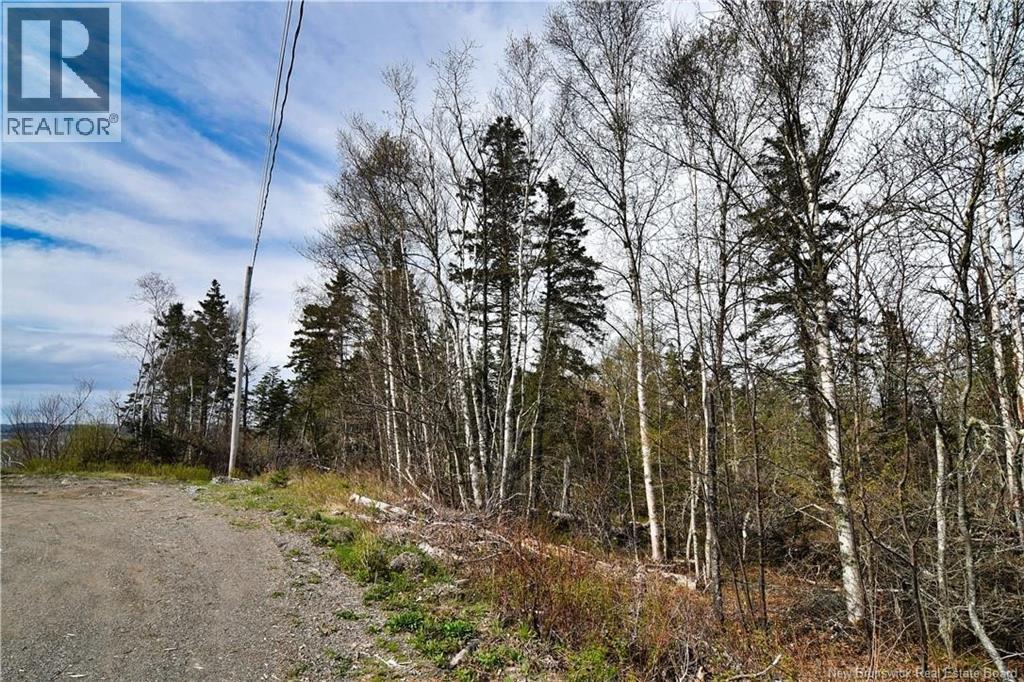 86-39 & 86-40 Mitchell Court, Welshpool, New Brunswick  E5E 1H6 - Photo 21 - NB137024