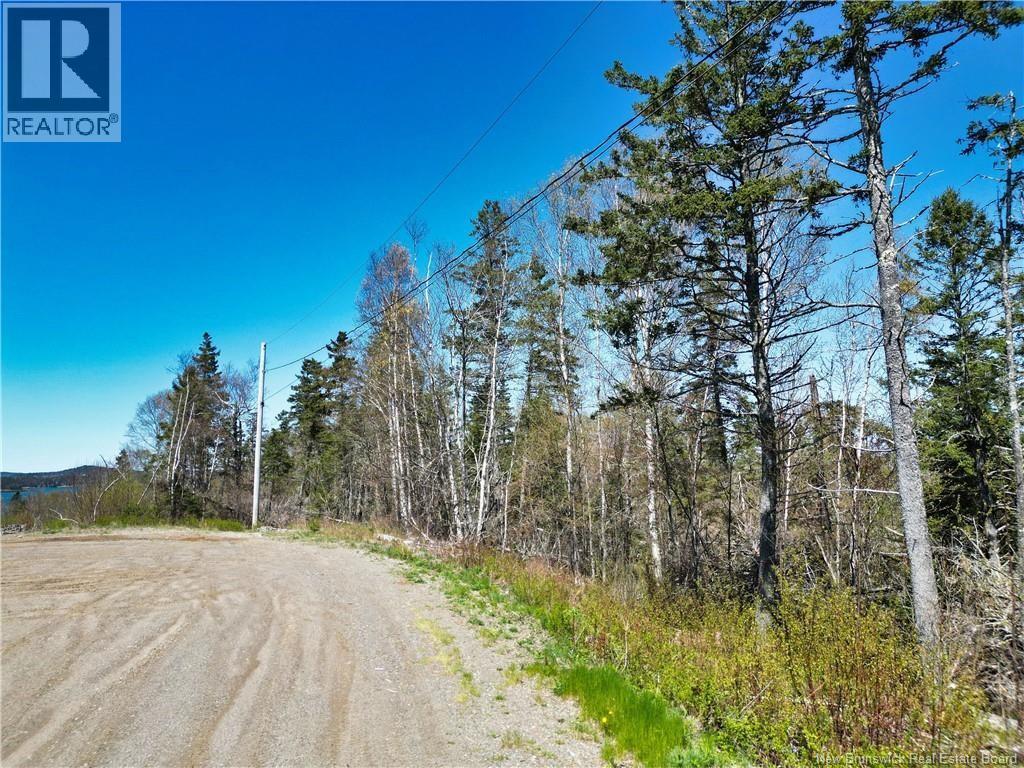 86-39 & 86-40 Mitchell Court, Welshpool, New Brunswick  E5E 1H6 - Photo 6 - NB137024