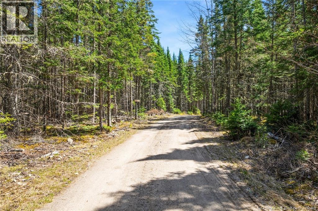 Na Dorn Ridge Road, Burtts Corner, New Brunswick  O0O 0O0 - Photo 30 - NB139335