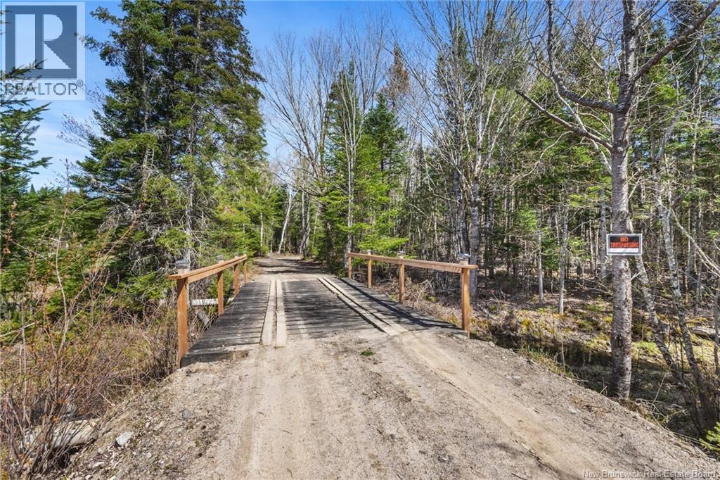 Na Dorn Ridge Road, Burtts Corner, New Brunswick  O0O 0O0 - Photo 32 - NB139335