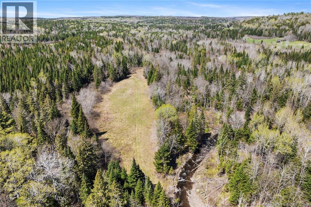 Na Dorn Ridge Road, Burtts Corner, New Brunswick  O0O 0O0 - Photo 33 - NB139335