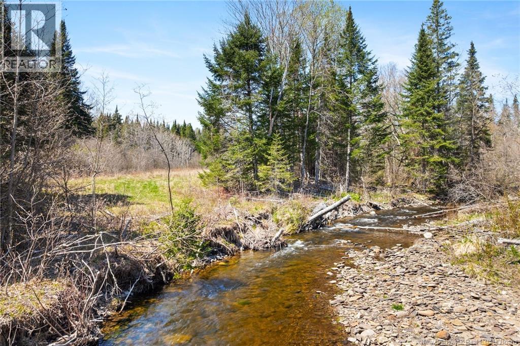 Na Dorn Ridge Road, Burtts Corner, New Brunswick  O0O 0O0 - Photo 41 - NB139335