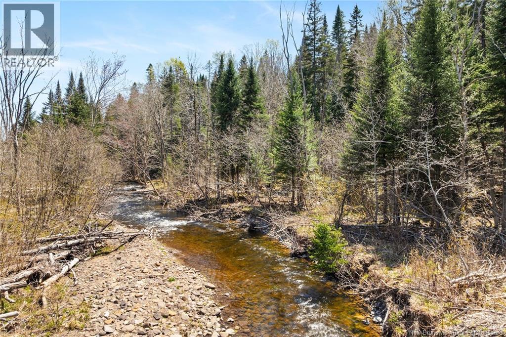 Na Dorn Ridge Road, Burtts Corner, New Brunswick  O0O 0O0 - Photo 42 - NB139335