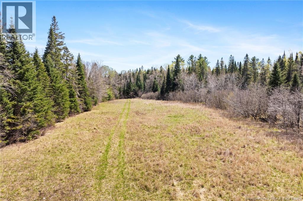 Na Dorn Ridge Road, Burtts Corner, New Brunswick  O0O 0O0 - Photo 47 - NB139335
