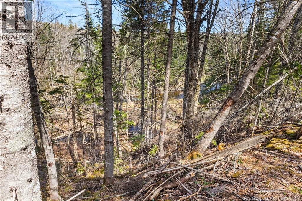 Na Dorn Ridge Road, Burtts Corner, New Brunswick  O0O 0O0 - Photo 48 - NB139335