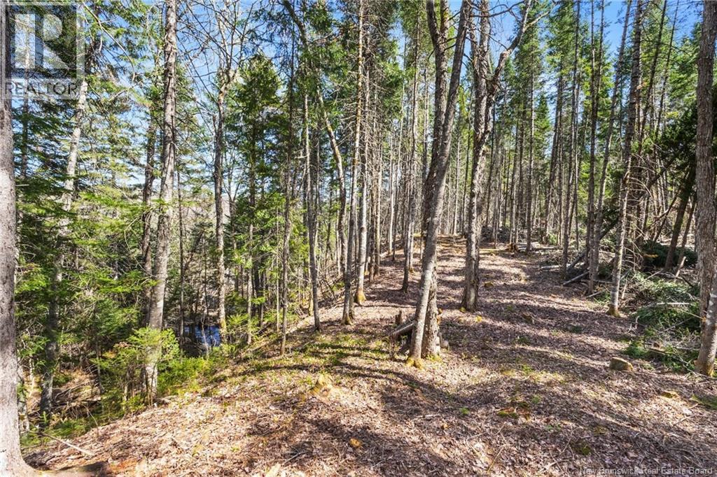 Na Dorn Ridge Road, Burtts Corner, New Brunswick  O0O 0O0 - Photo 50 - NB139335