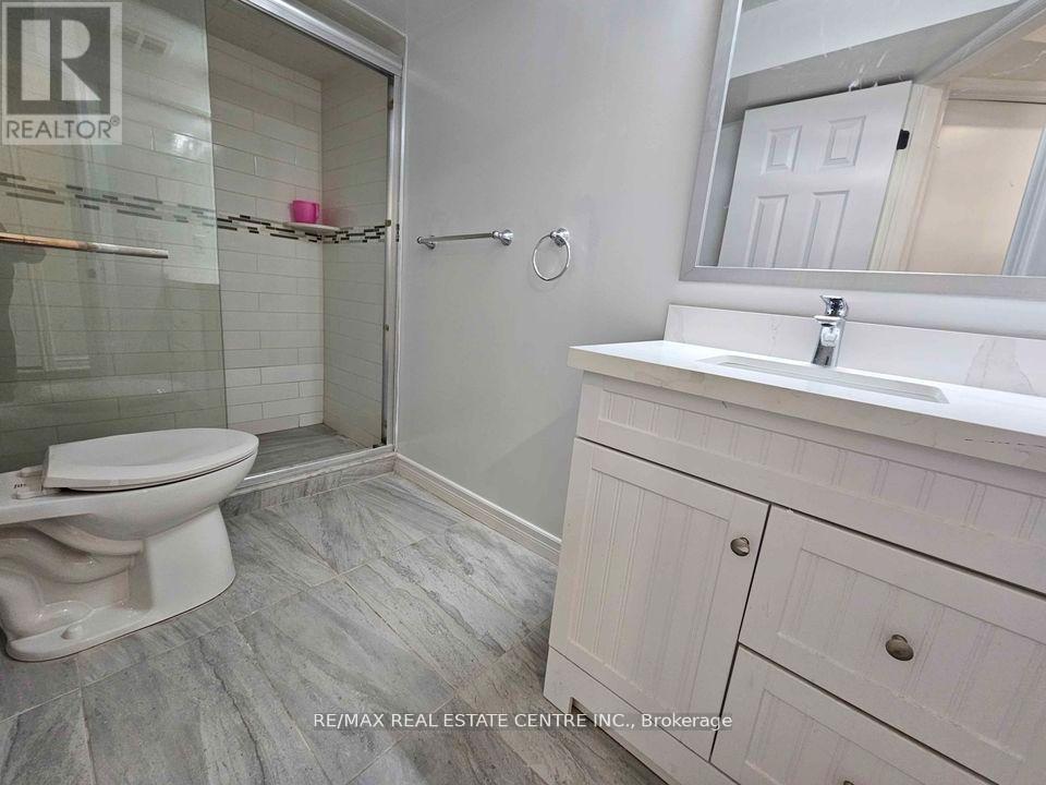 Basemen - 238 Rowe Terrace, Milton, Ontario  L9T 8G1 - Photo 3 - W13141710