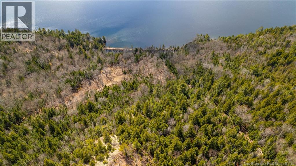 Lot 2021-01 And 02 Frye Road, Chamcook, New Brunswick  E5B 0C3 - Photo 14 - NB139646