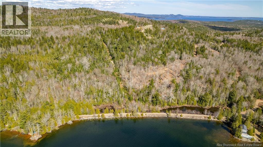 Lot 2021-01 And 02 Frye Road, Chamcook, New Brunswick  E5B 0C3 - Photo 7 - NB139646