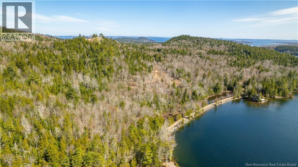 Lot 2021-01 And 02 Frye Road, Chamcook, New Brunswick  E5B 0C3 - Photo 19 - NB139646