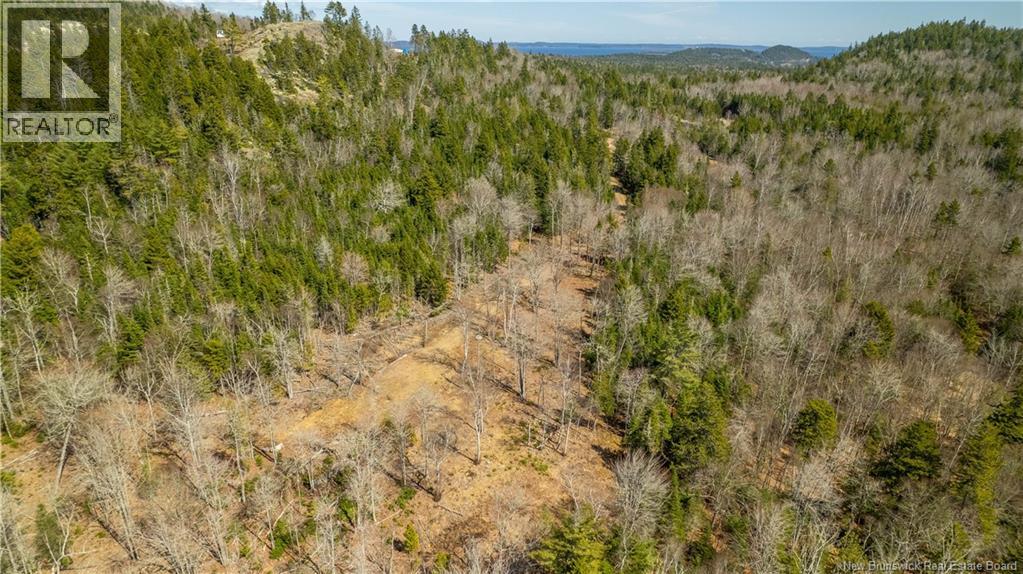 Lot 2021-01 And 02 Frye Road, Chamcook, New Brunswick  E5B 0C3 - Photo 17 - NB139646