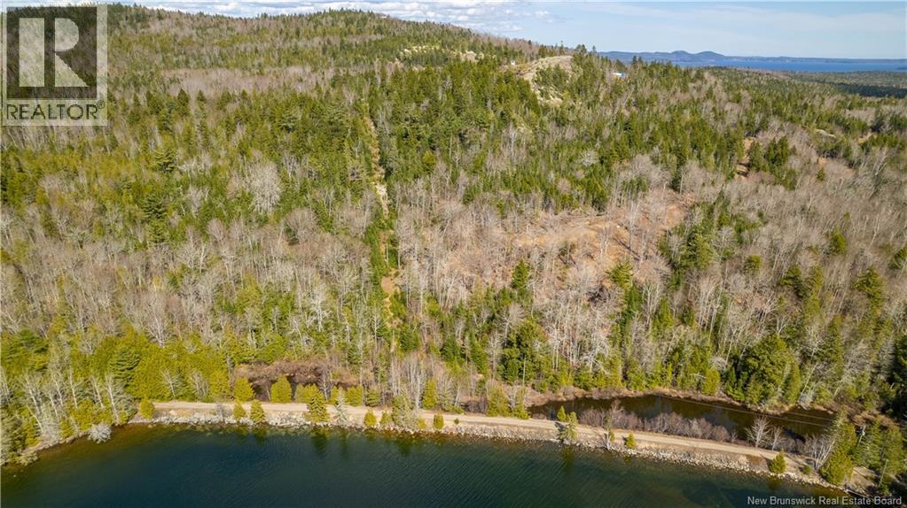 Lot 2021-01 And 02 Frye Road, Chamcook, New Brunswick  E5B 0C3 - Photo 6 - NB139646