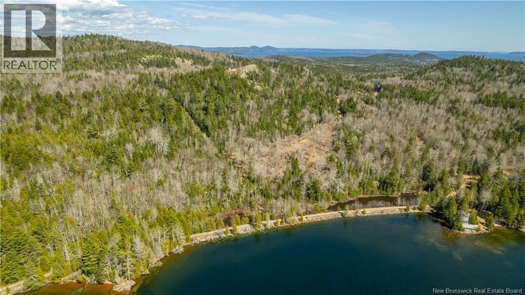 Lot 2021-01 And 02 Frye Road, Chamcook, New Brunswick  E5B 0C3 - Photo 18 - NB139646
