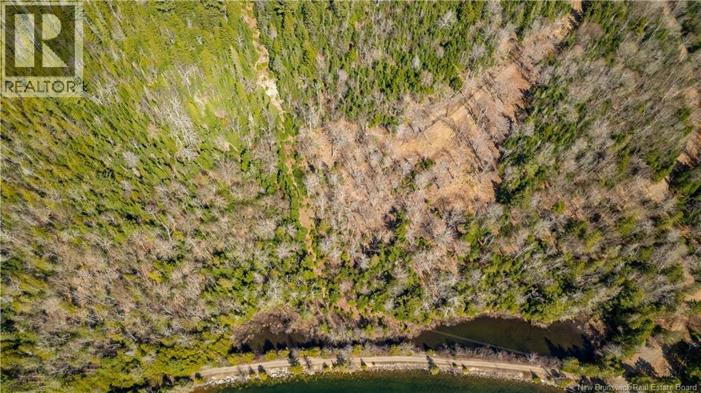 Lot 2021-01 And 02 Frye Road, Chamcook, New Brunswick  E5B 0C3 - Photo 5 - NB139646