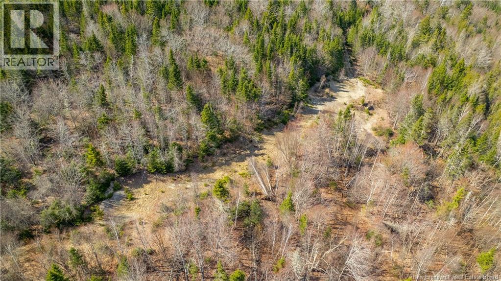 Lot 00 Frye Road, Chamcook, New Brunswick  E5B 0C4 - Photo 7 - NB139699