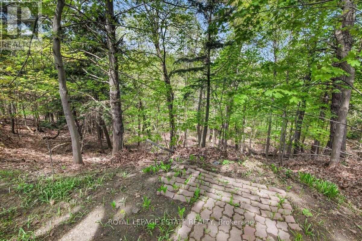 103 Pegasus Trail, Toronto, Ontario  M1G 3N8 - Photo 42 - E13141748
