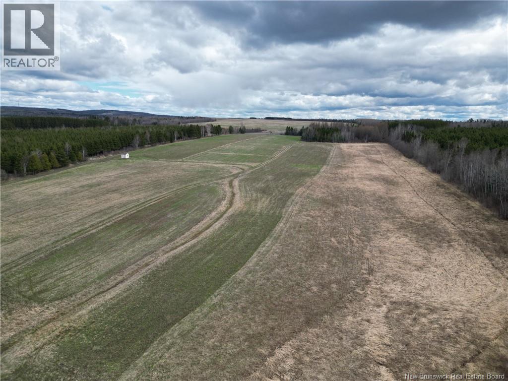 Laplante Road, Saint-Léonard-Parent, New Brunswick  E7E 0E1 - Photo 21 - NB139447