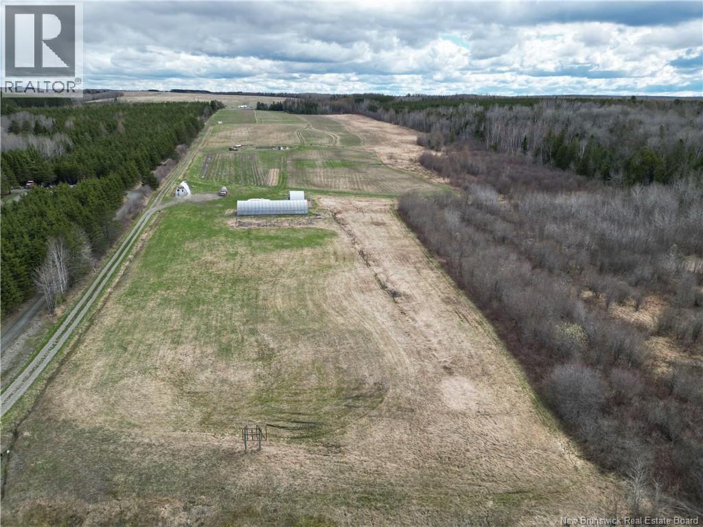 Laplante Road, Saint-Léonard-Parent, New Brunswick  E7E 0E1 - Photo 1 - NB139447